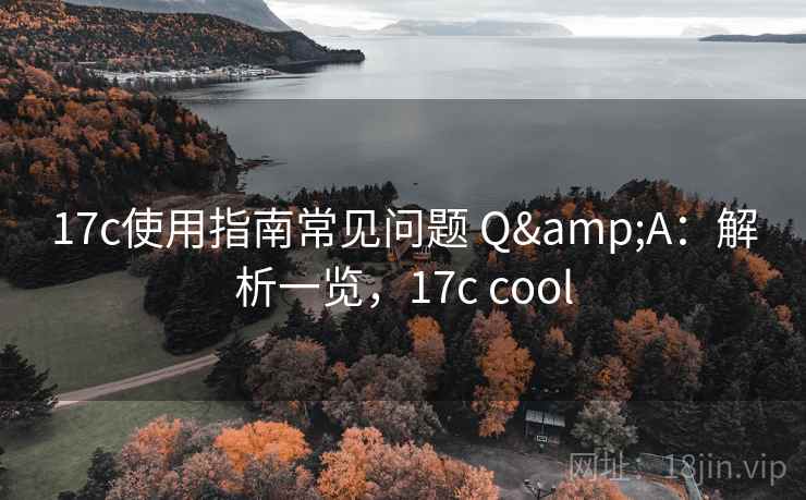 17c使用指南常见问题 Q&A：解析一览，17c cool