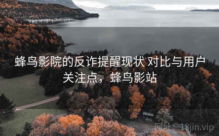 蜂鸟影院的反诈提醒现状 对比与用户关注点，蜂鸟影站