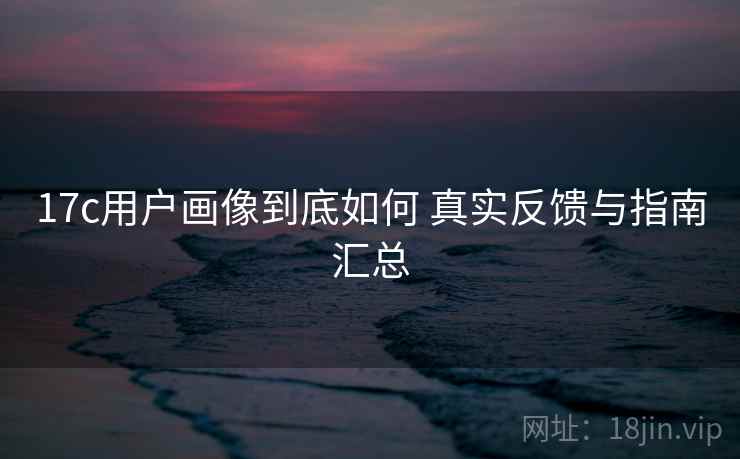 17c用户画像到底如何 真实反馈与指南汇总