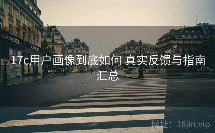 17c用户画像到底如何 真实反馈与指南汇总 17c用户画像到底如何 真实反馈与指南汇总
