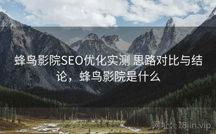 蜂鸟影院SEO优化实测 思路对比与结论，蜂鸟影院是什么