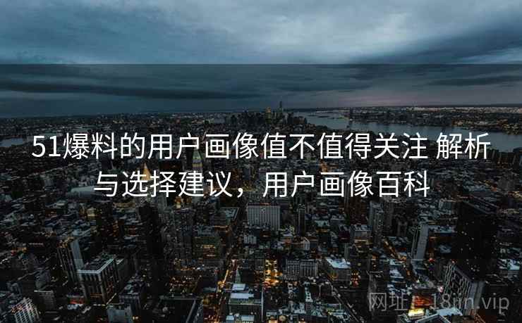 51爆料的用户画像值不值得关注 解析与选择建议，用户画像百科