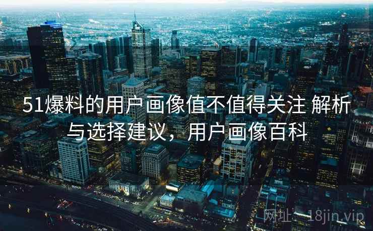 51爆料的用户画像值不值得关注 解析与选择建议，用户画像百科