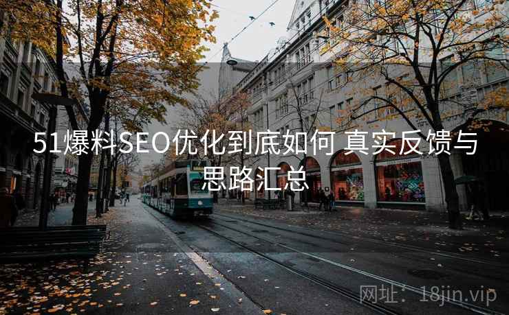 51爆料SEO优化到底如何 真实反馈与思路汇总