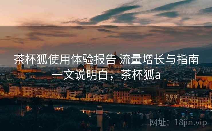 茶杯狐使用体验报告 流量增长与指南一文说明白，茶杯狐a