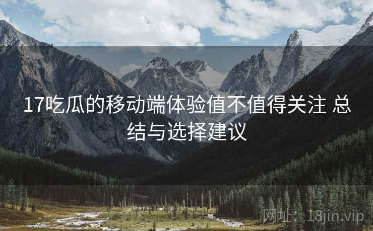 17吃瓜的移动端体验值不值得关注 总结与选择建议