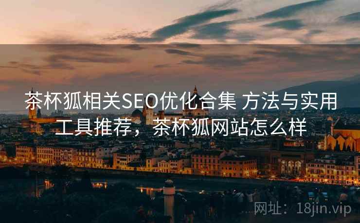 茶杯狐相关SEO优化合集 方法与实用工具推荐，茶杯狐网站怎么样